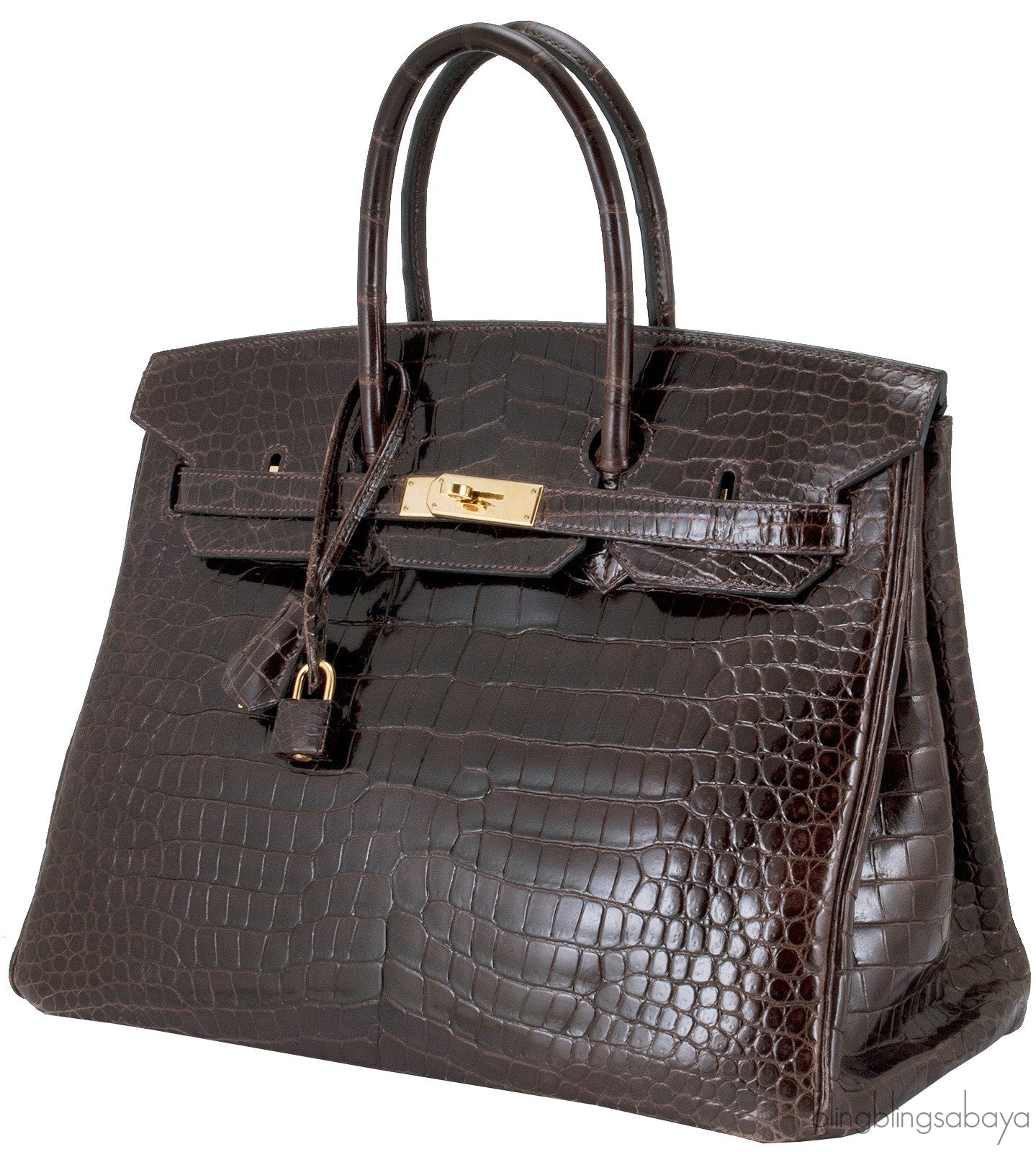 Birkin 35 Brown Patent Porosus GHW
