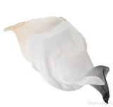 Gradient Silk Long Scarf