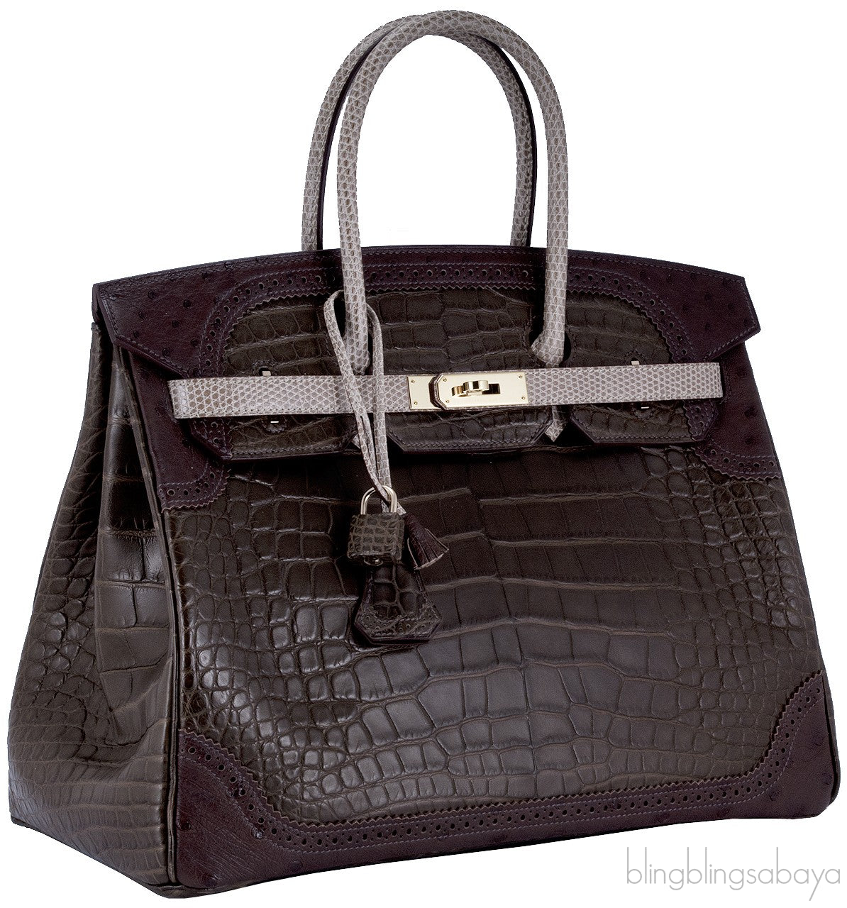 Birkin Ghillies Croc Lizard Ostrich