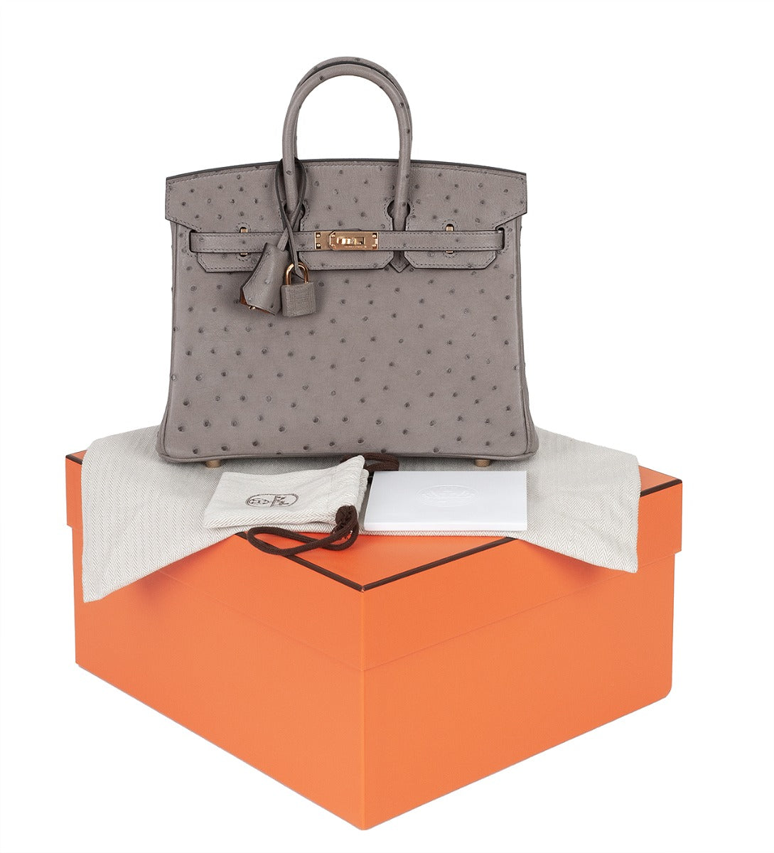 Hermes Special Order Birkin 25 Gris Tourterelle Ostrich and Toffee GHW