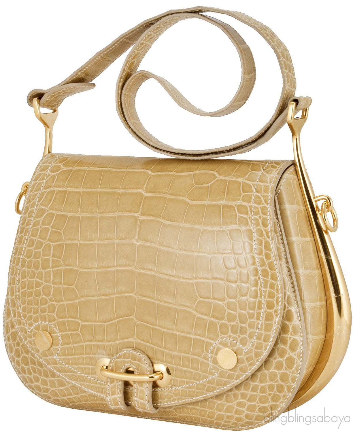 Pass Guide Crocodile Poussiere GHW