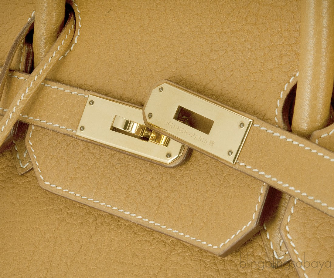 Birkin 40 Gold Vache Fjord GHW