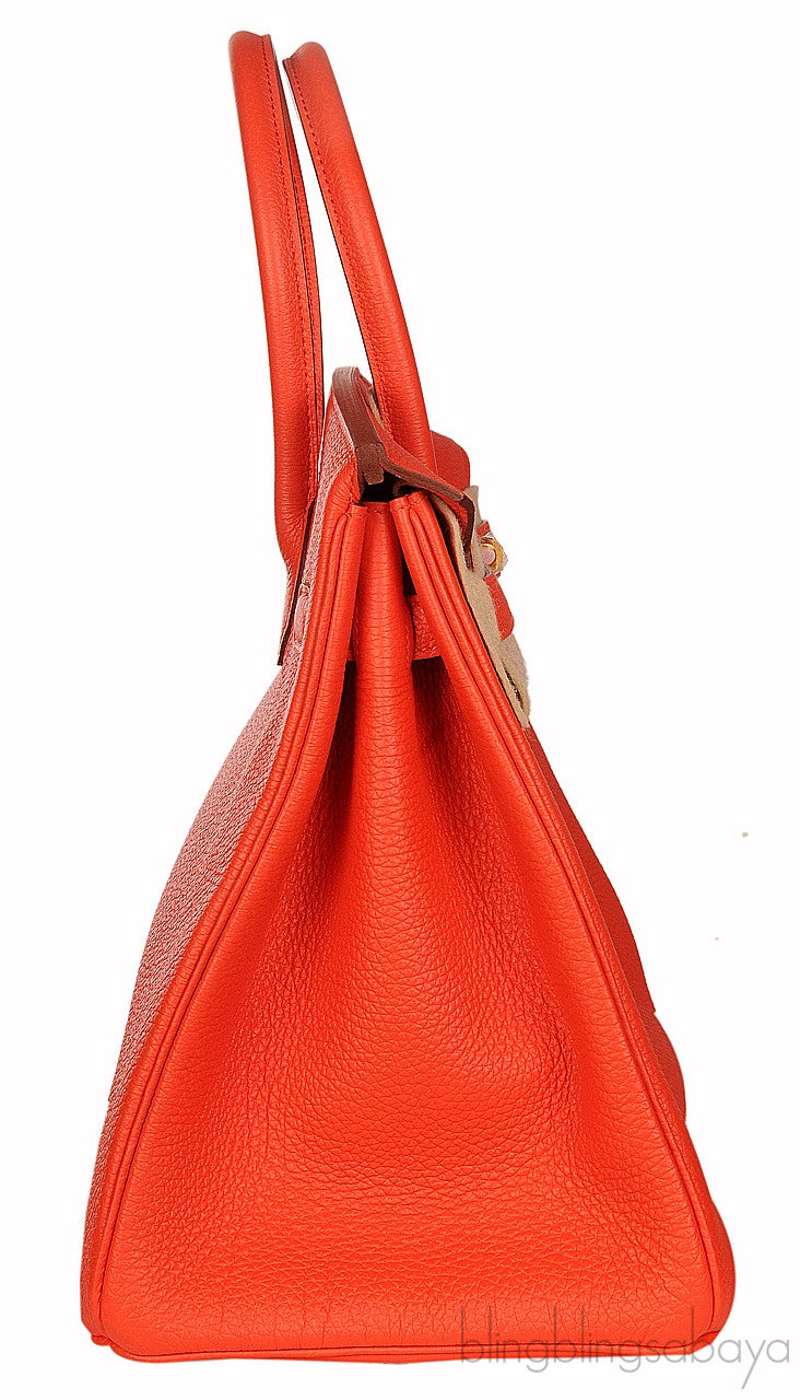 Birkin 35 Capucine Togo GHW