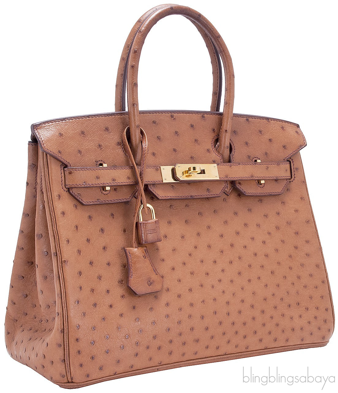 Birkin 30 Cognac Ostrich GHW