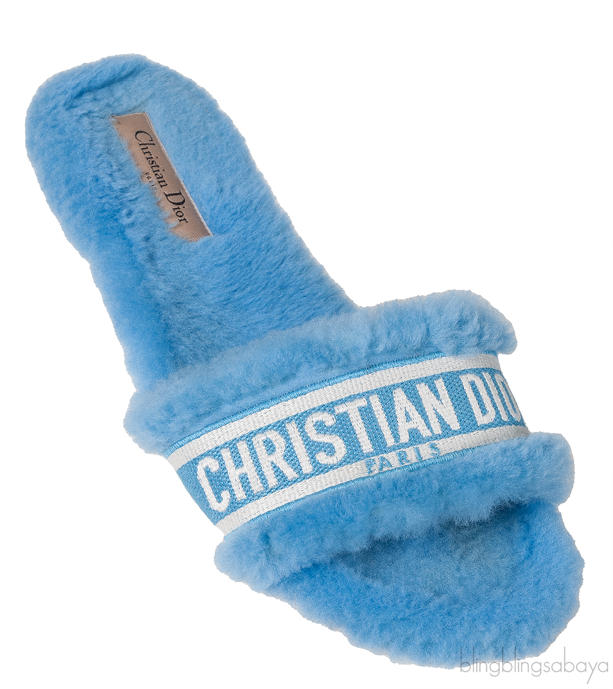 Christian Dior Chez Moi Blue & White Slide
