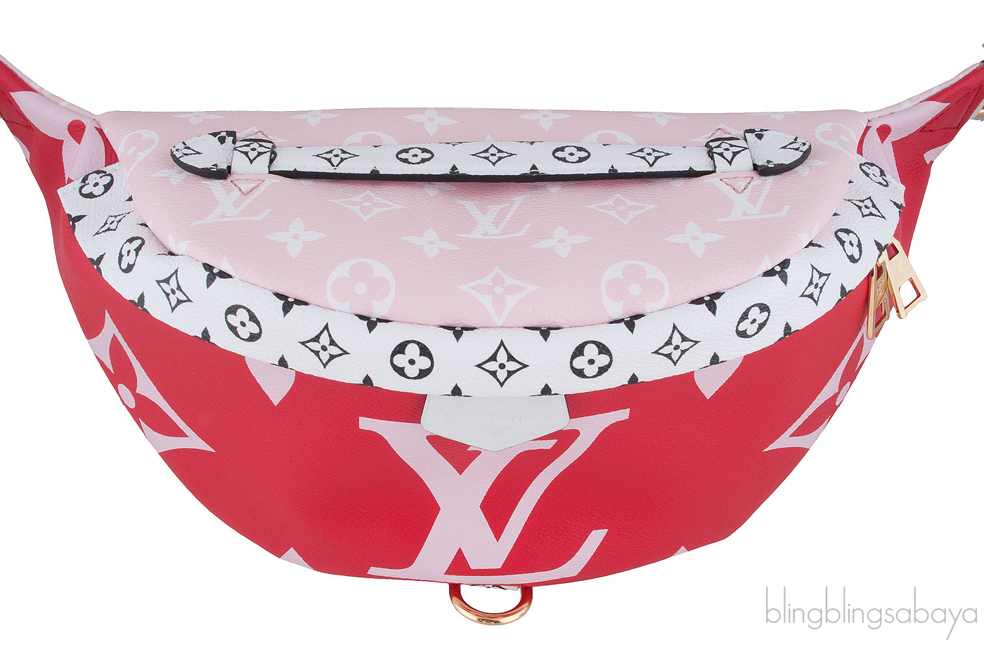 Ltd. Ed. Bumbag MM Monogram Giant