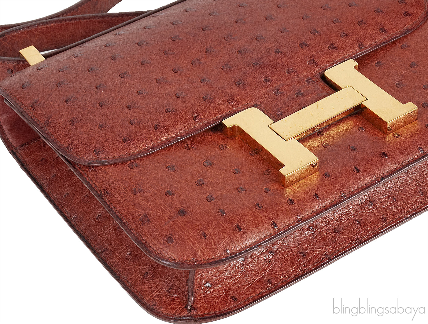 Hermes Vintage Constance 23 Brown Ostrich GHW
