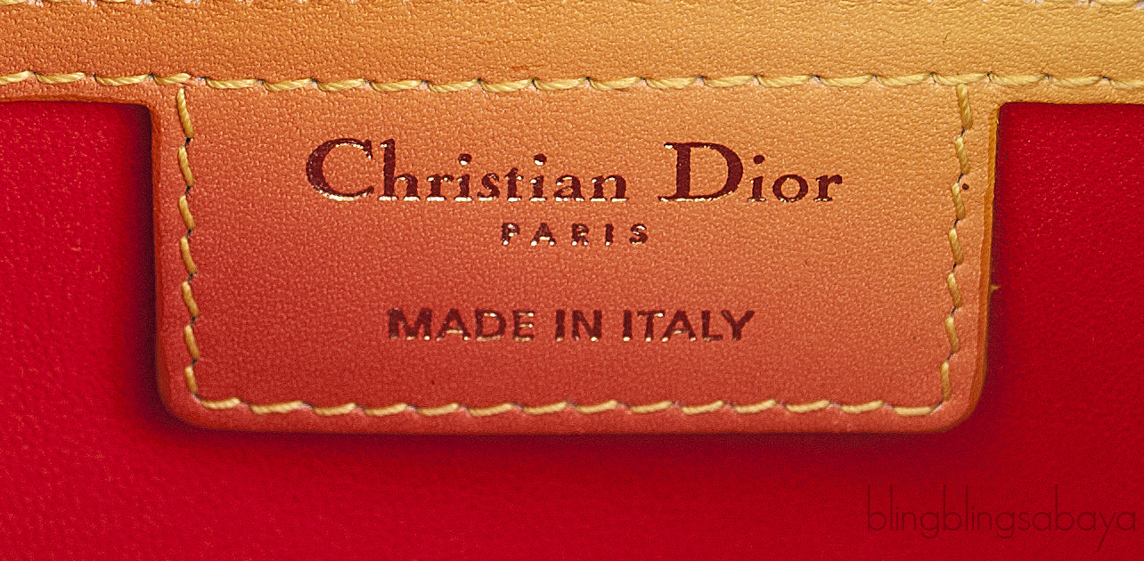 Bi-color Gradient Lady Dior Bag