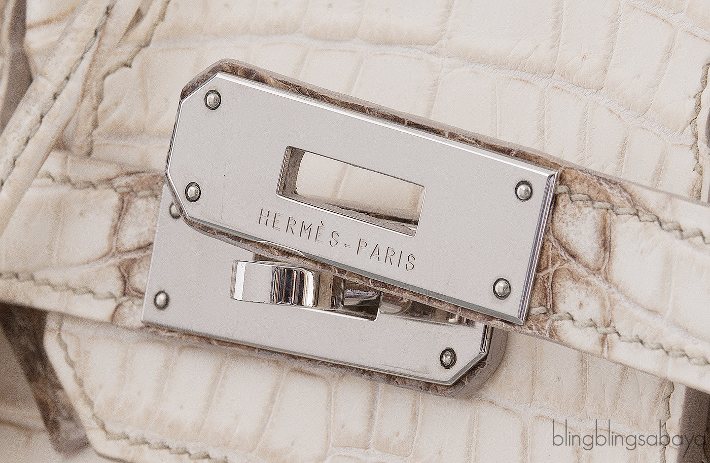Birkin 30 Himalayan Crocodile PHW