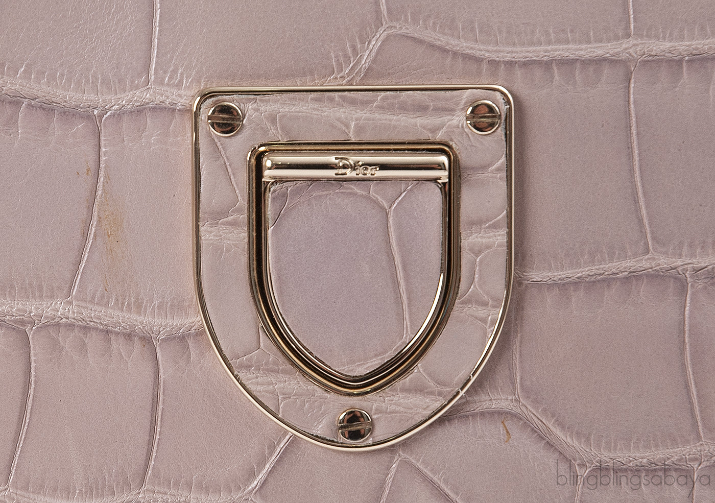 Christian Dior Diorever Crocodile Medium Bag