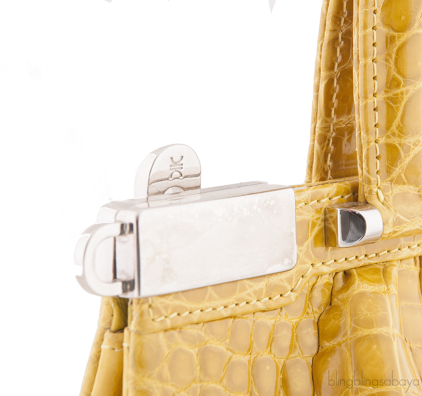 Crocodile Raffles Handbag