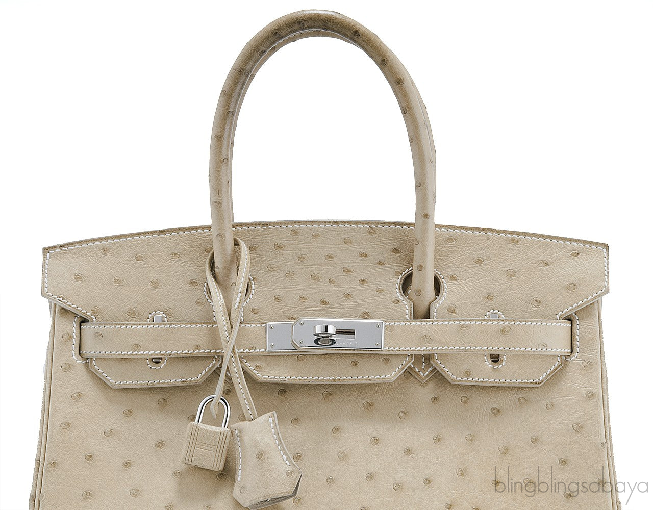 Birkin 30 Parchemin Ostrich