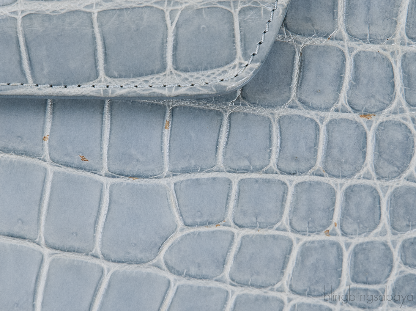 Cesare Furs Blue Gray Crocodile Handbag