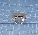Cesare Furs Blue Gray Crocodile Handbag