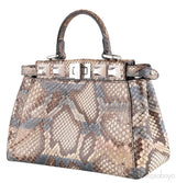 Multicolored Mini Peekaboo Studded Python