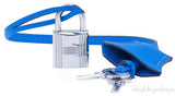 Birkin 35 Blue Hydra Clem