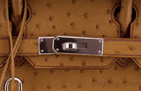 Birkin 30 Ostrich Gold PHW