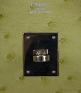 Birkin 30 Vert Anis Ostrich PHW