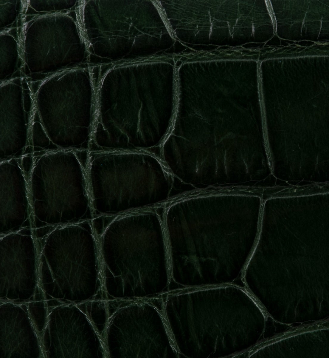 Crystal Embellished Horsebit Green Crocodile Mini Clutch