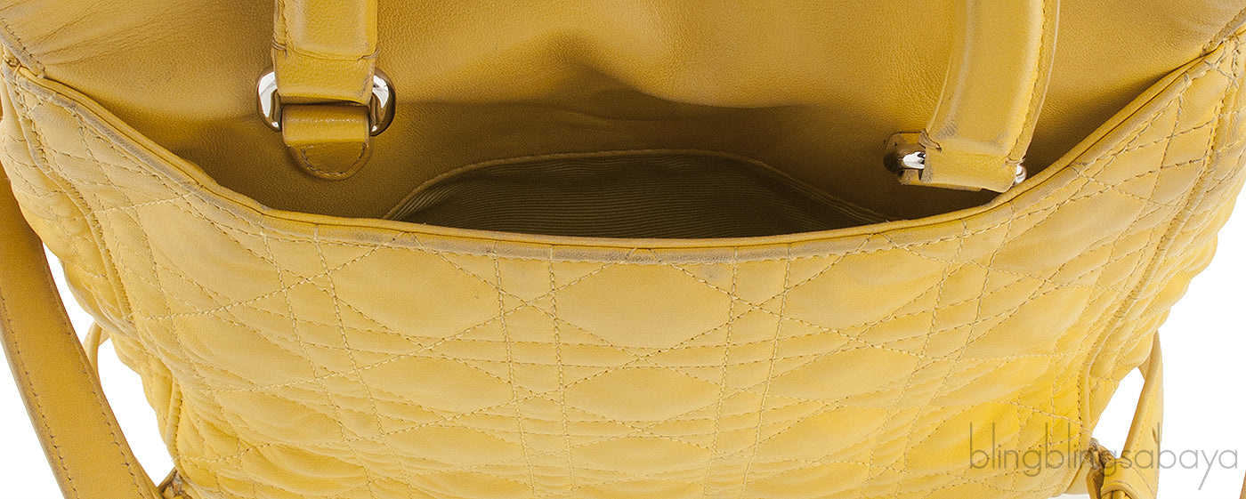 Dior Embroidered Stardust Backpack