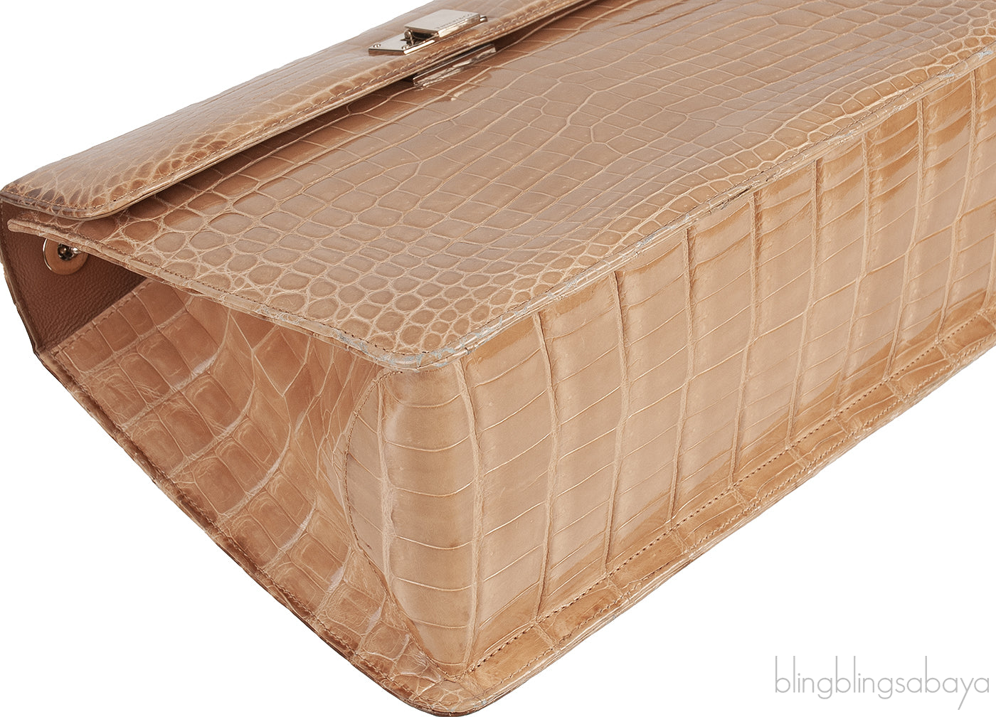 Beige Cornelia Lunch Box Crocodile Bag
