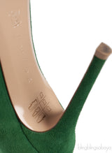 Gianvito Rossi Emerald Jaipur 105 Embellished Suede Pumps