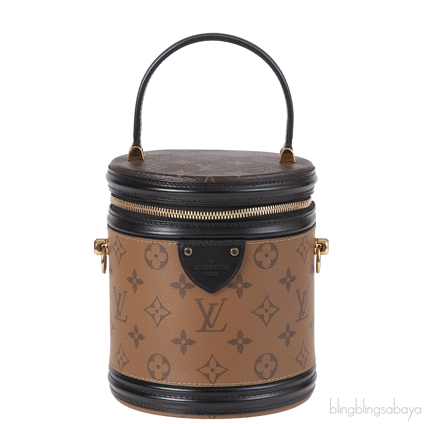 Louis Vuitton Cannes Monogram Bag