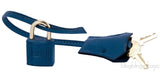Birkin 30 Ostrich Blue Cobalt