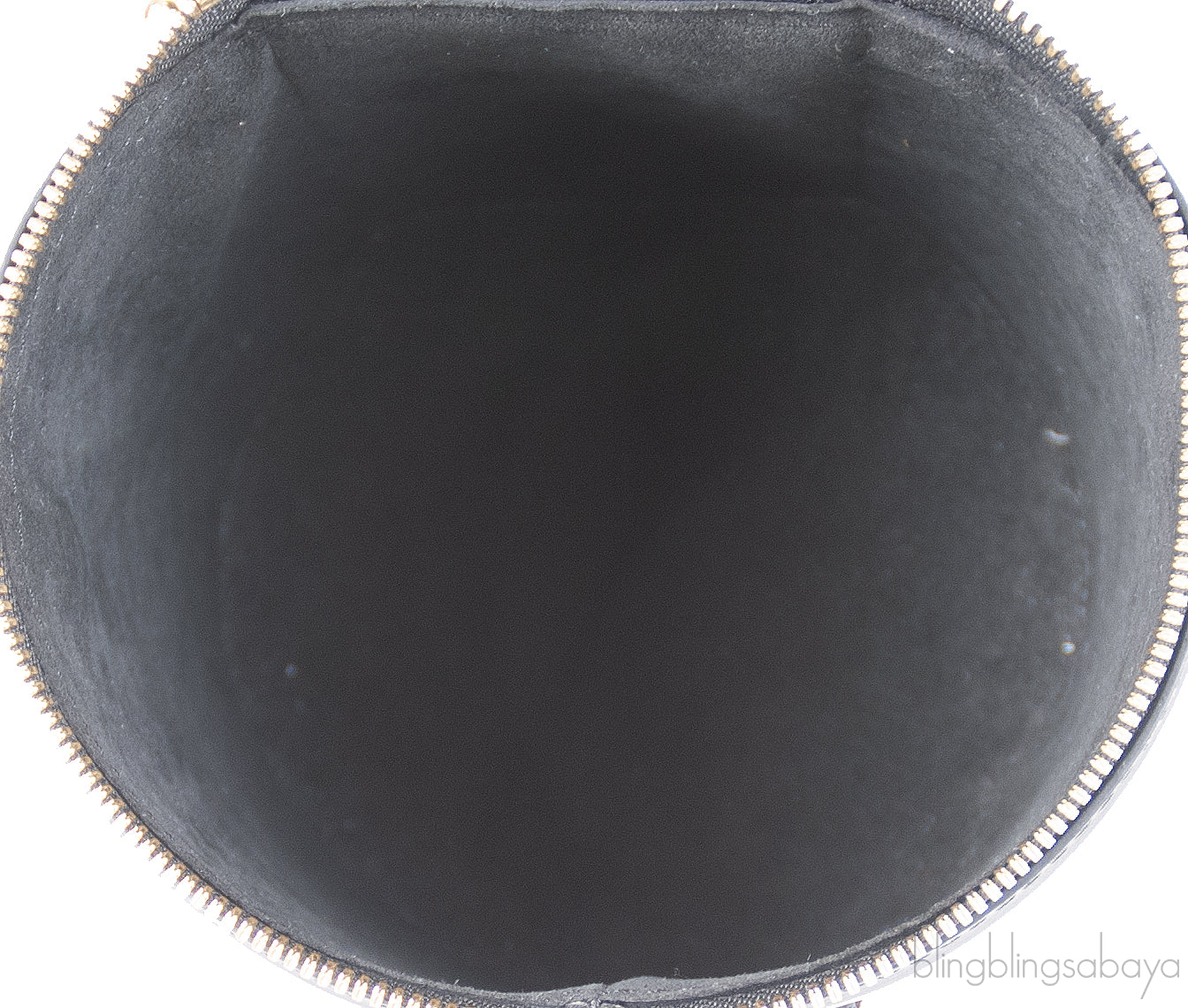 Louis Vuitton Cannes Monogram Bag