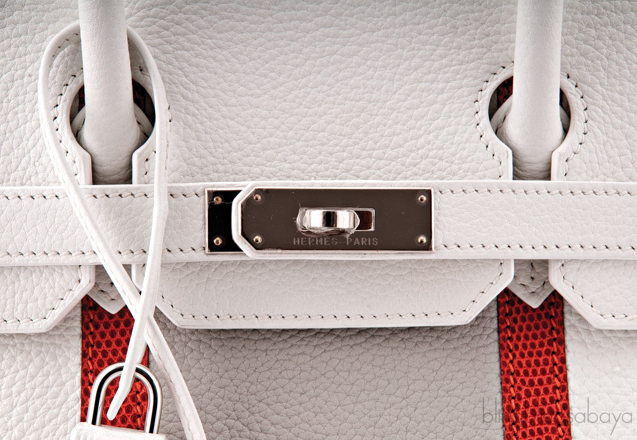 Birkin 30 Club Tri-color