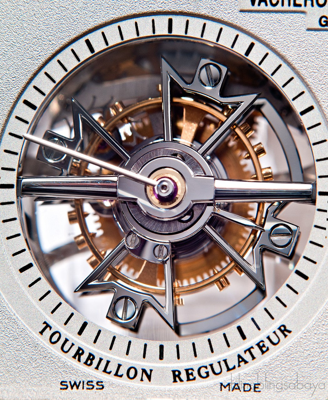 Malte Tourbillon Regulator Alligator