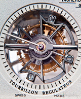 Malte Tourbillon Regulator Alligator