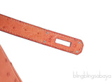 Birkin 30 Orange Ostrich PHW