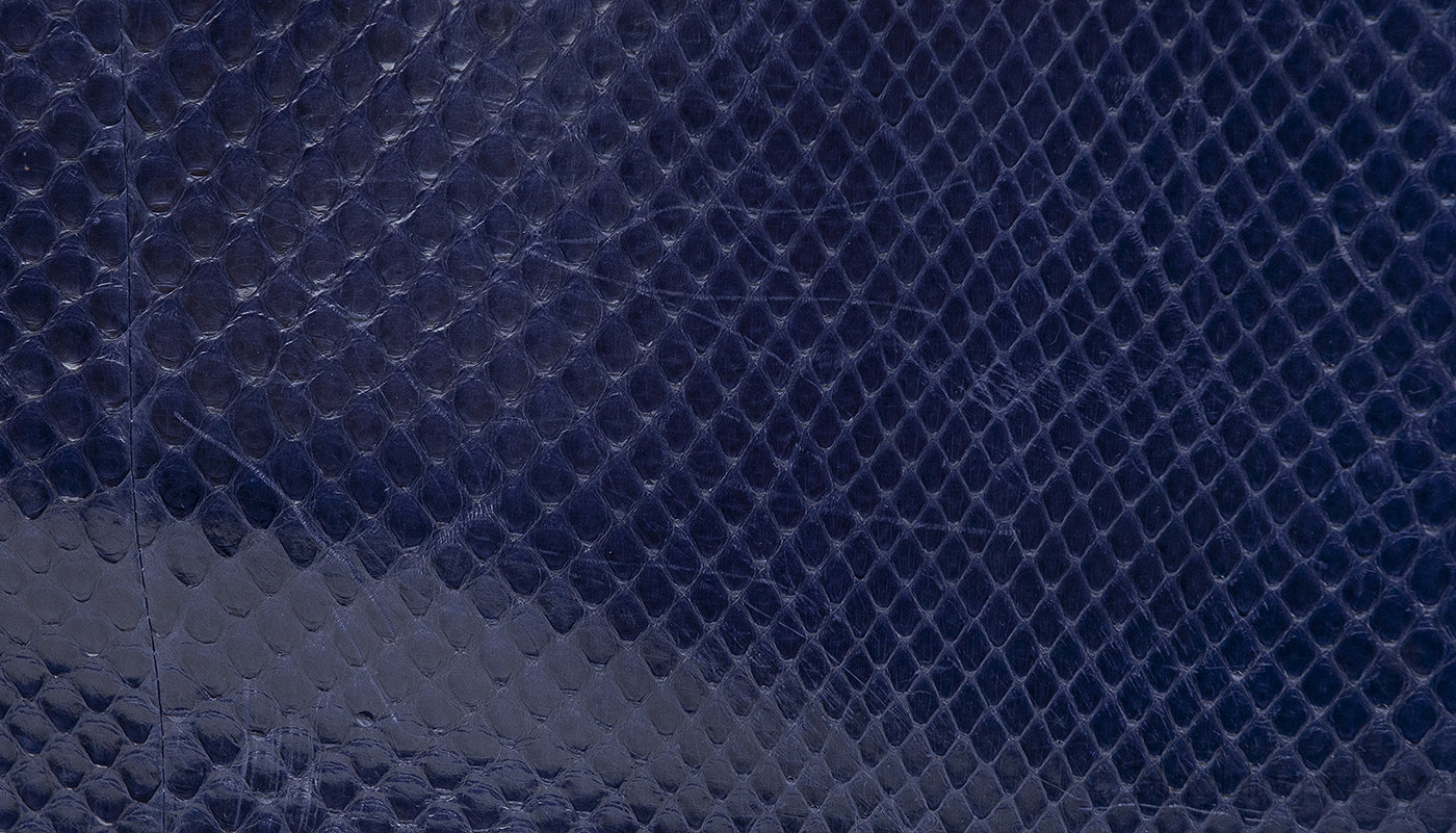 Lady Dior Large Blue Python Bag