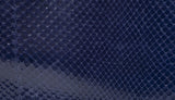 Lady Dior Large Blue Python Bag