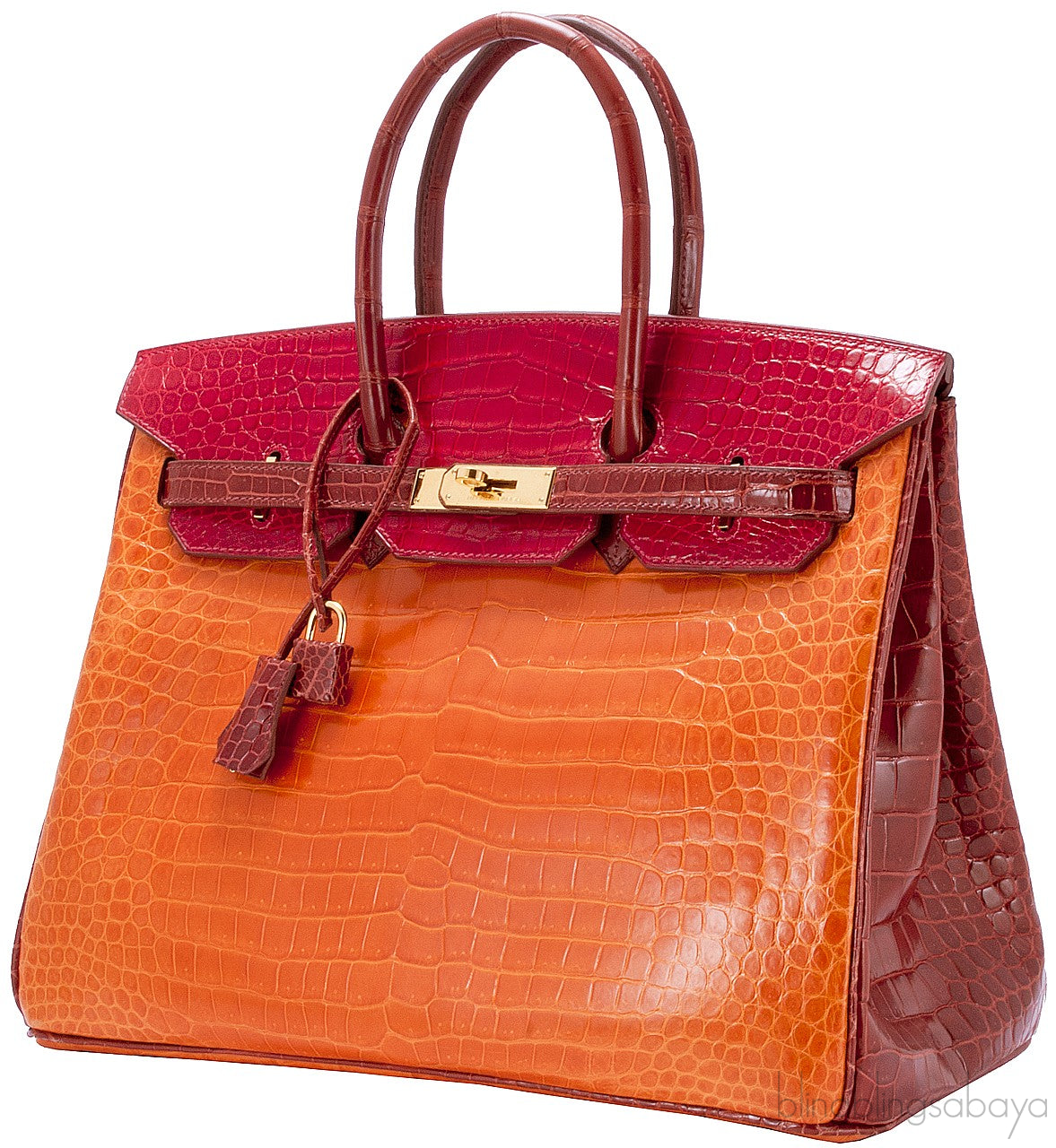 Birkin 35 Tricolor Crocodile Ltd. Ed.