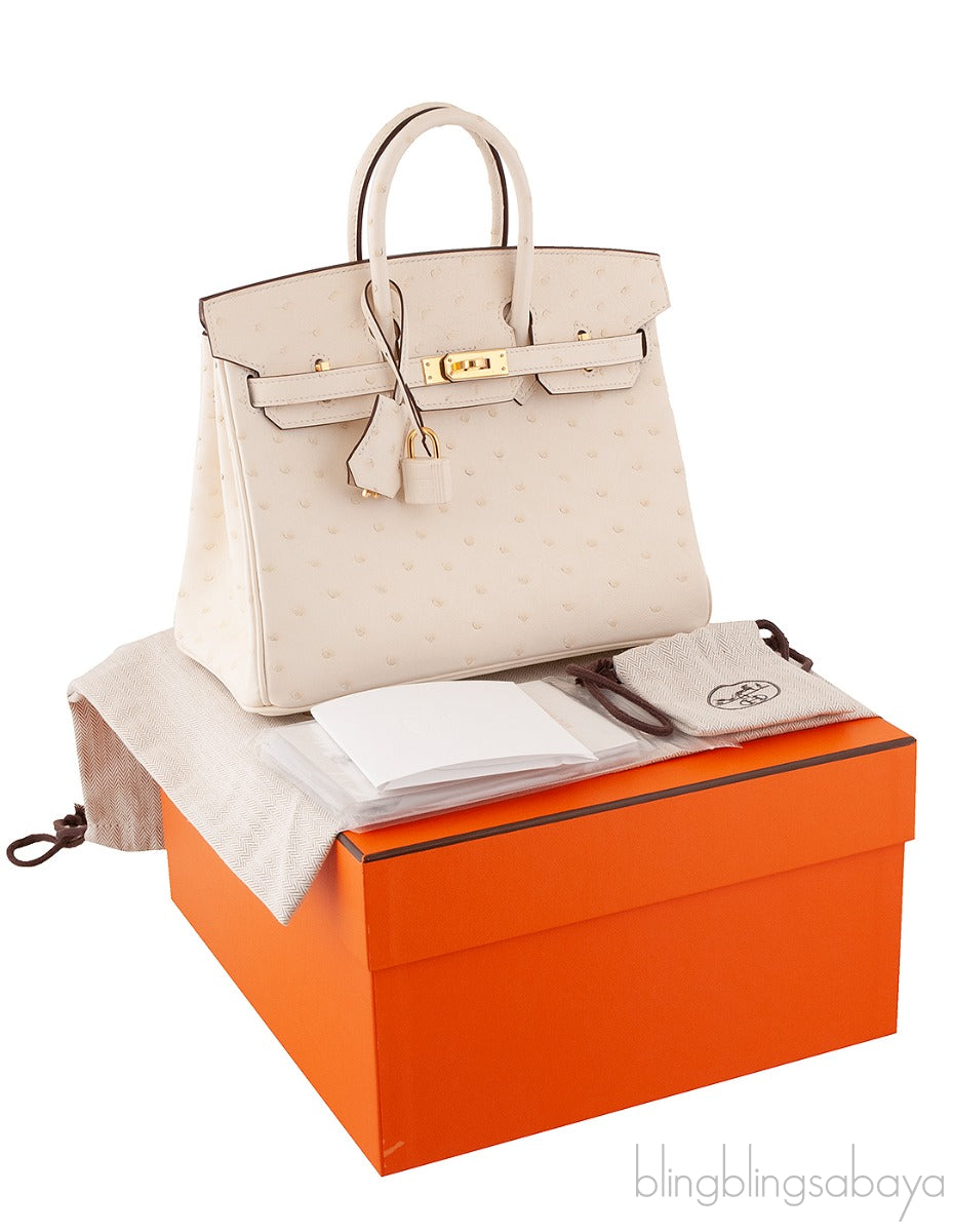 Birkin 25 Boreal Nata Ostrich GHW