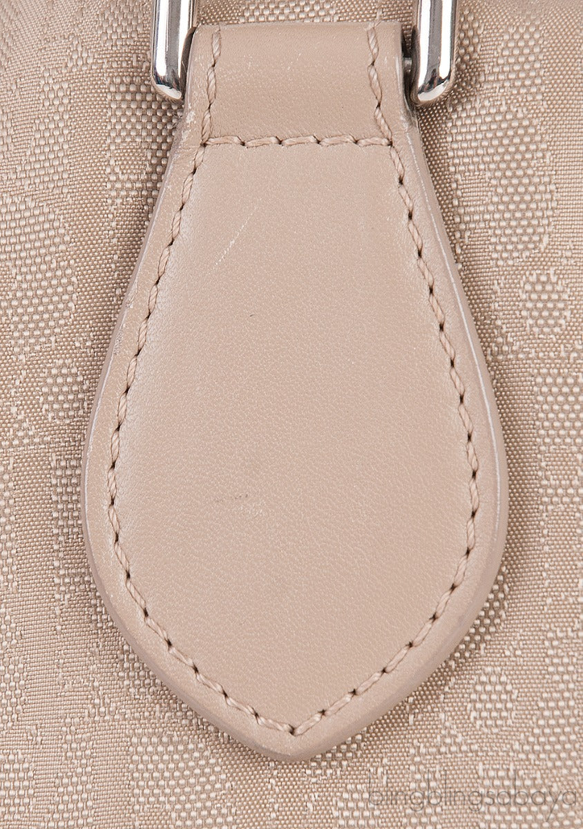 Christian Dior Oblique Canvas & Leather Multi-Pocket Bag
