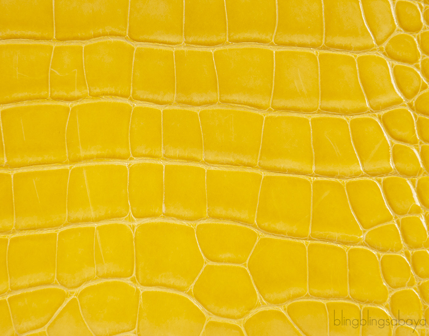 Lady Dior Yellow Crocodile Medium Bag