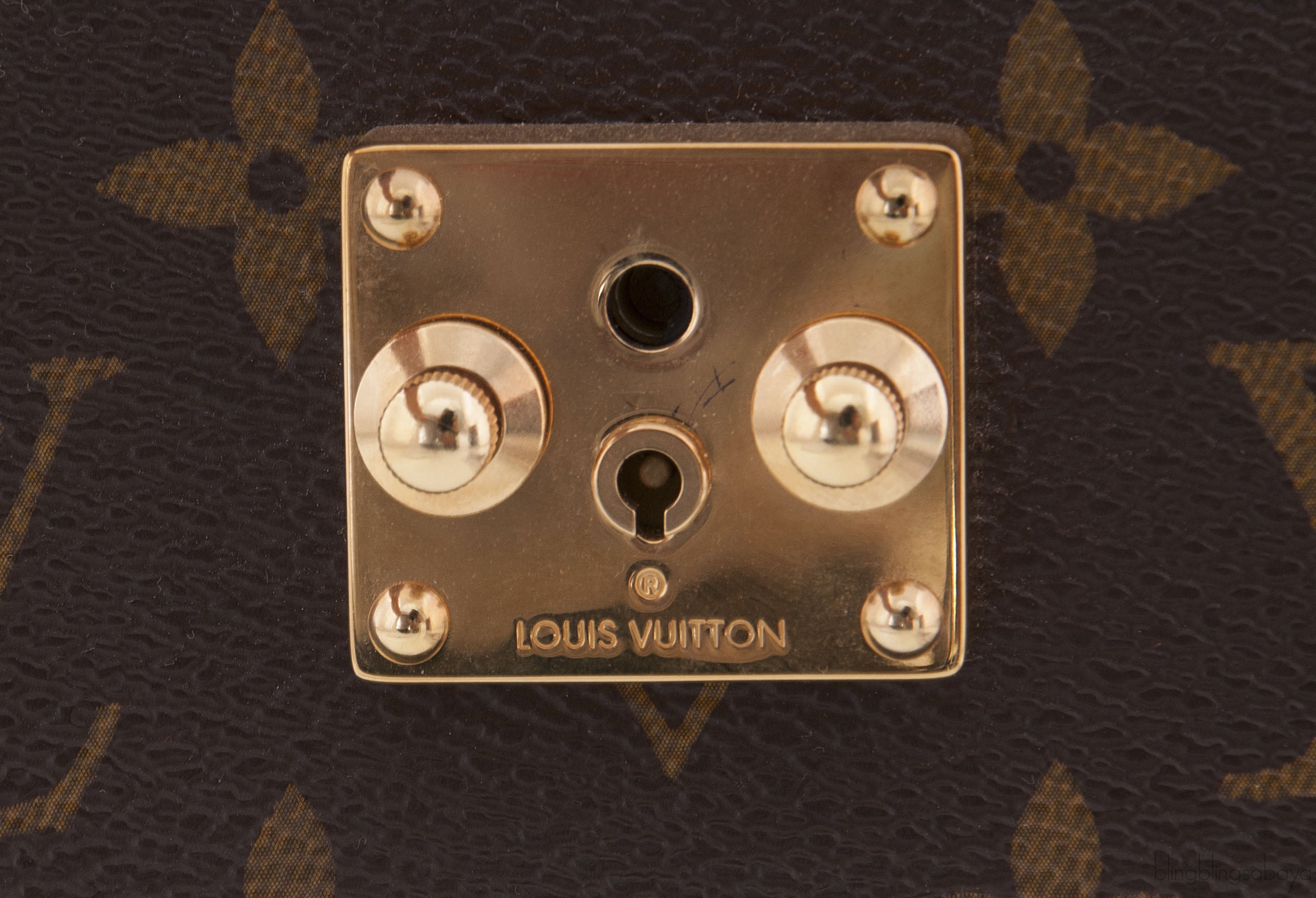 Monogram Majestueux Exotic Bag