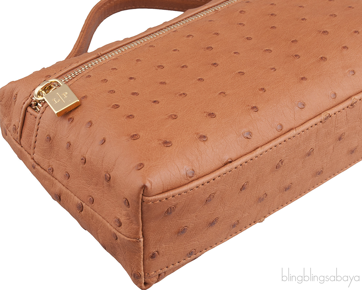 L19 Brown Ostrich Pouch