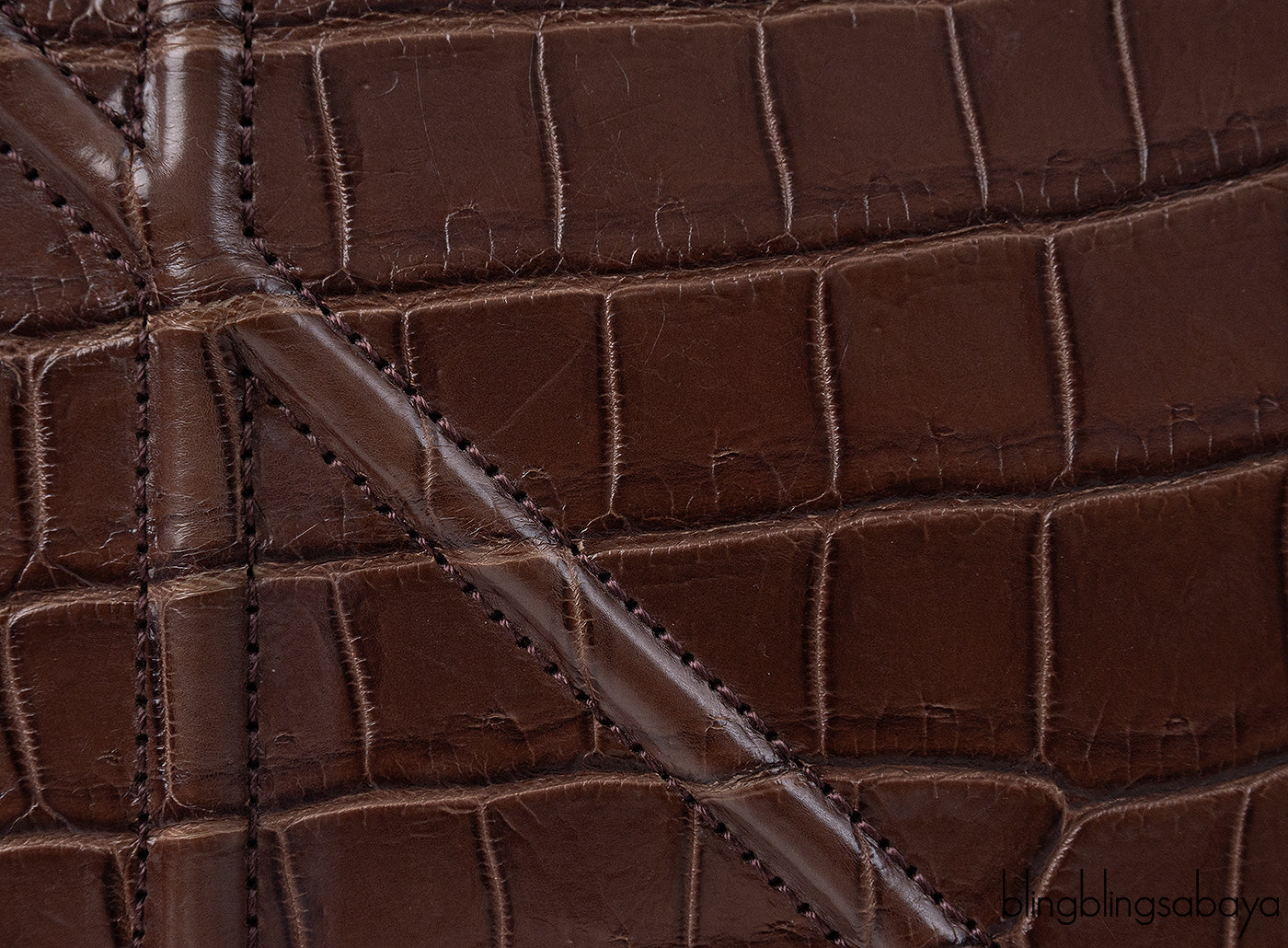 Christian Dior Diorama Brown Crocodile Flap Bag