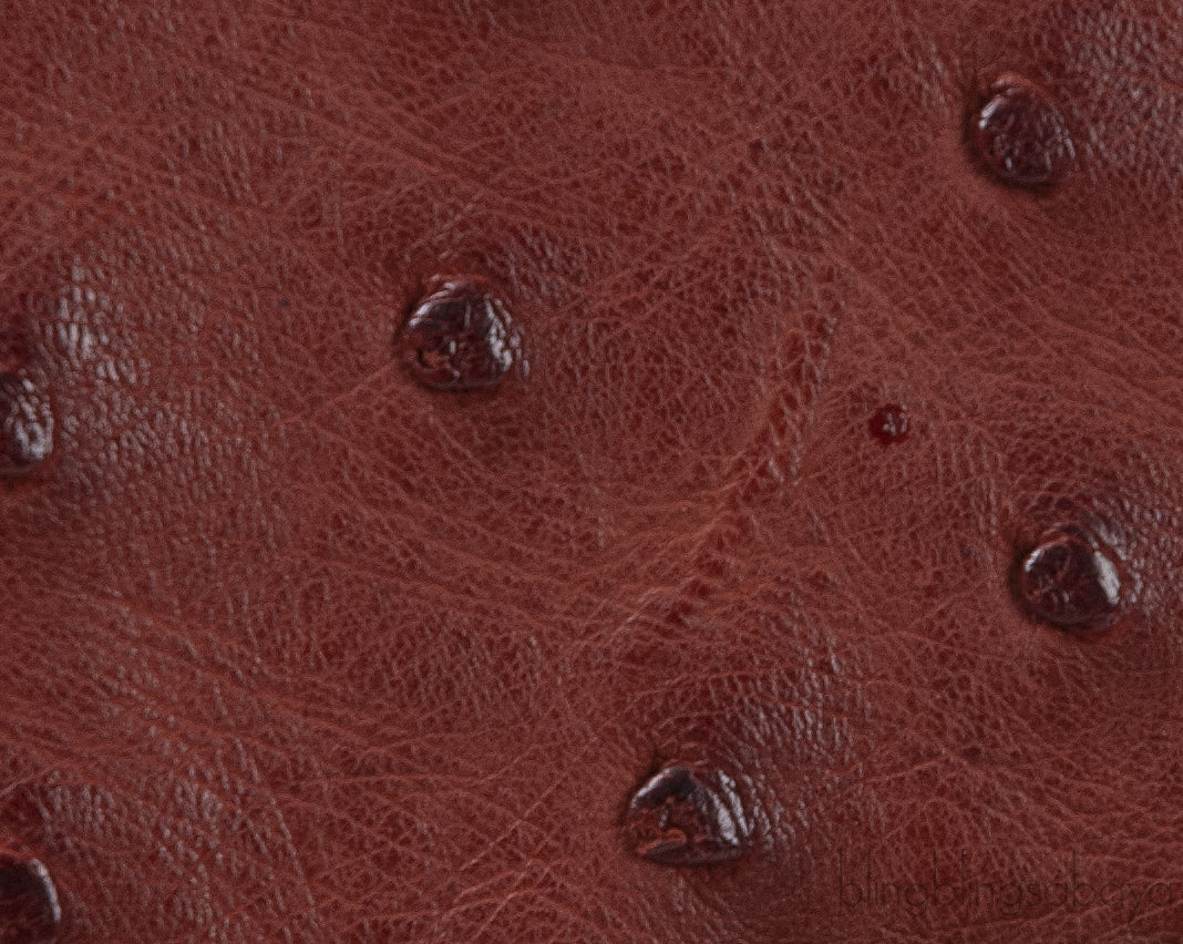 Tri-color Leather Top Handle Bag