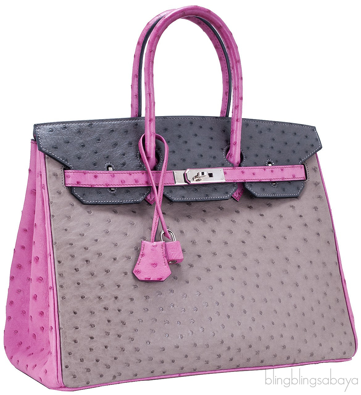 Birkin 35 Tri-Color Ostrich PHW