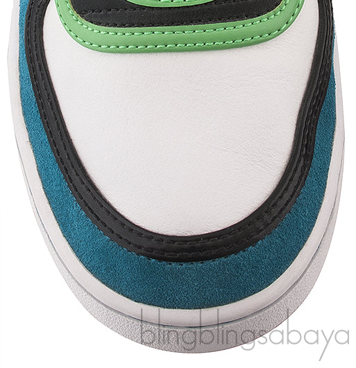 Multicolor 6.0 Dunk Low