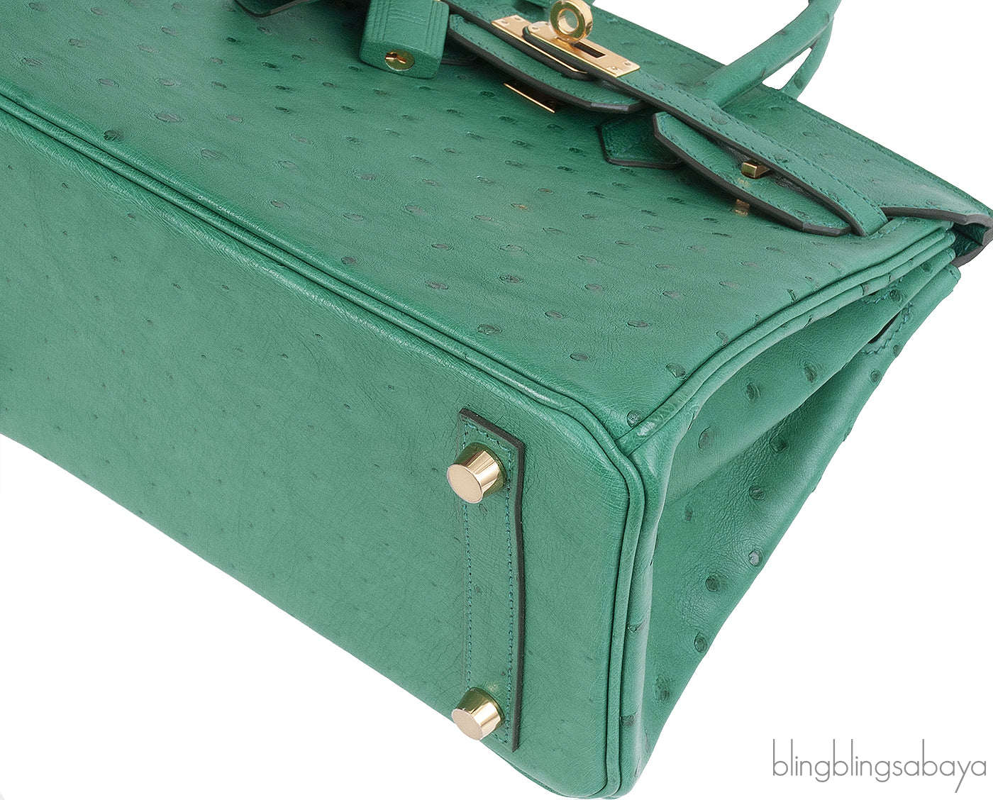 Hermes Birkin 25 Ostrich Vert Vertigo GHW
