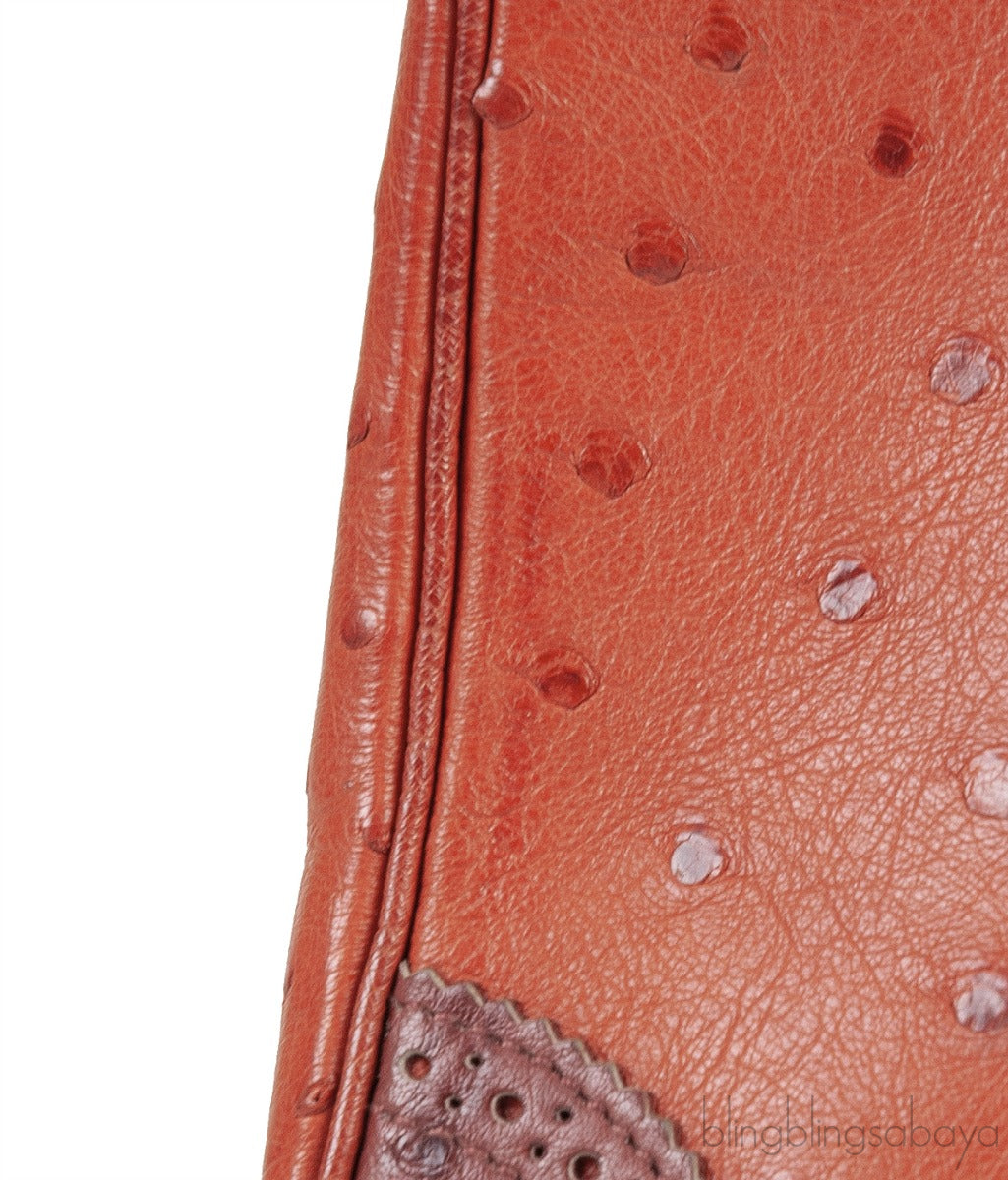 Kelly 32 Ghillies Rouge H Sunset and Brique Ostrich Bag