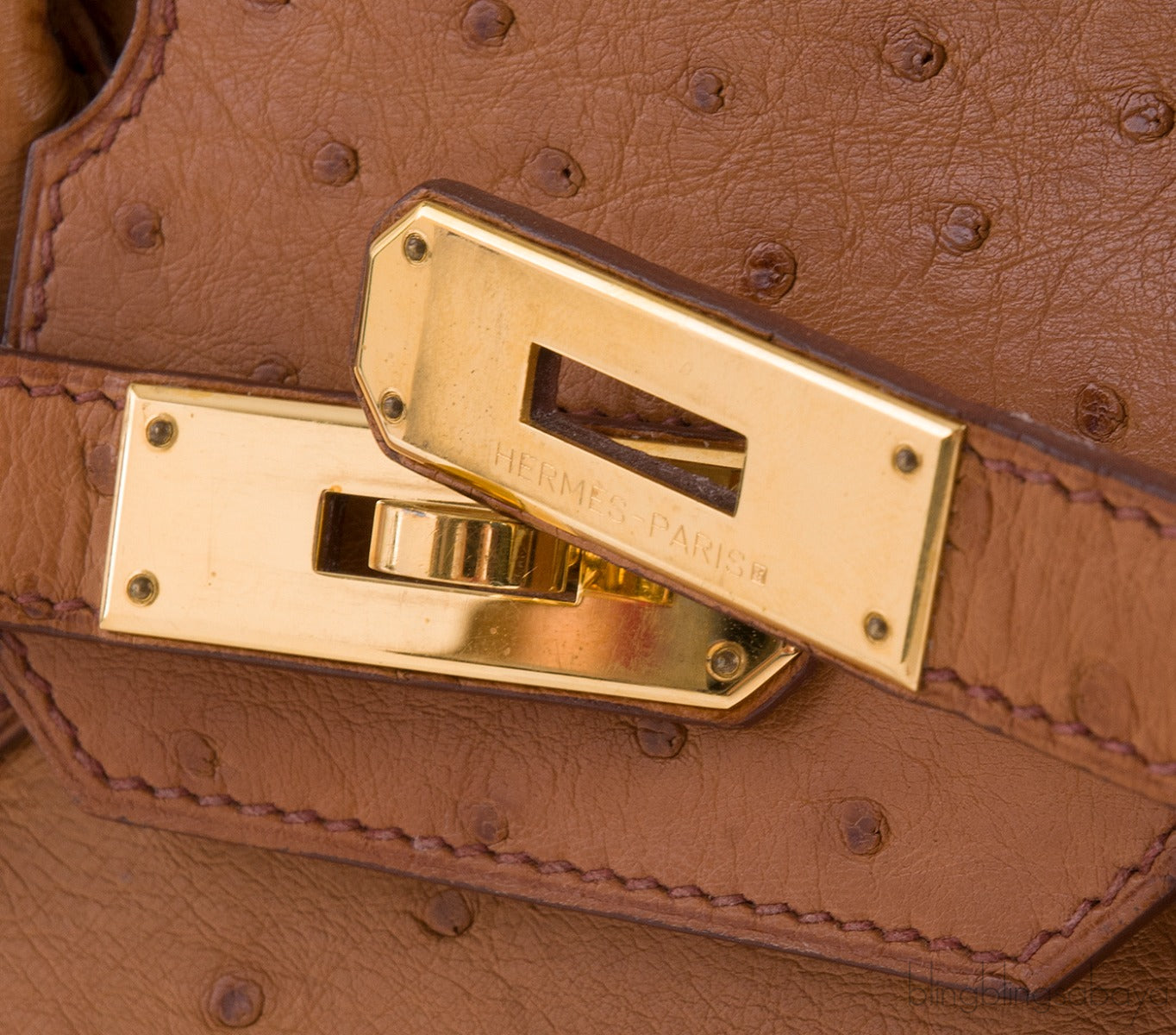 Birkin 30 Ostrich Cognac GHW