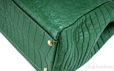 Green Crocodile Peek-a-boo