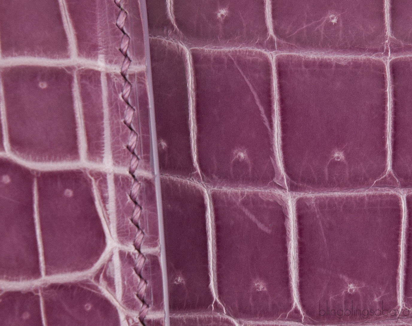 Saigon PM Purple Crocodile Bag